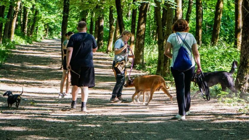 Источник: Югспецстрой