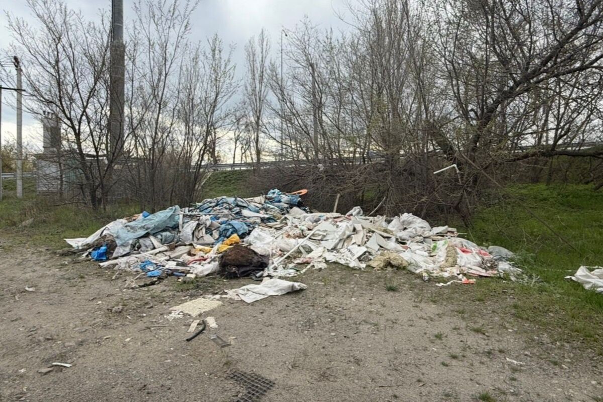 В Ростовской области суд взыскал с арендатора ₽670 тыс. за свалку на полях - фото 1