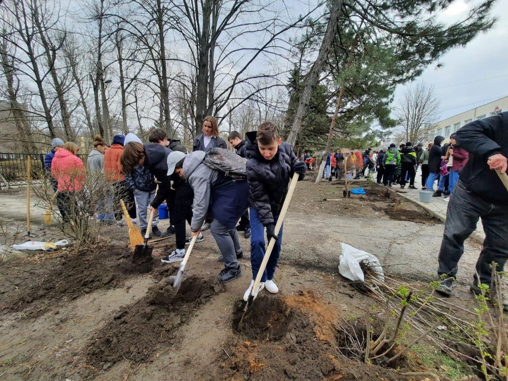Более 4 тысяч деревьев посадили в Ростове в рамках Дня древонасаждений