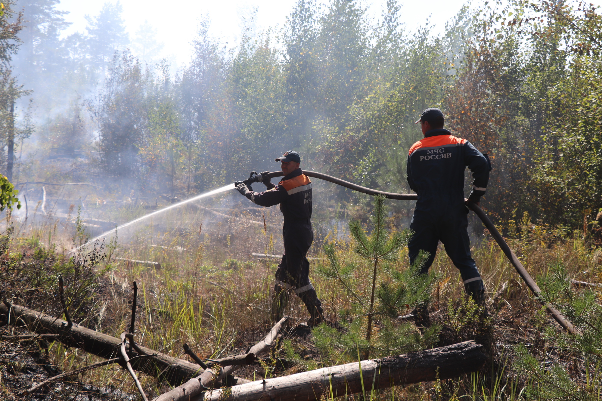 Лесные пожары появились в Выксунском и Сосновском районах Нижегородской области