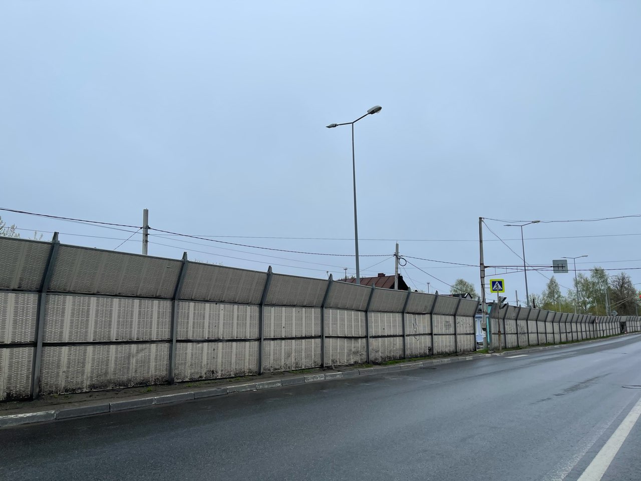 Трассу М-12 в Нижегородской области оградят экранами для безопасности серых журавлей  - фото 2