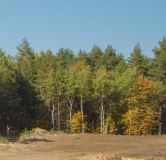 Ход строительства дома 3 в ЖК GloraX Экосити Премиум -