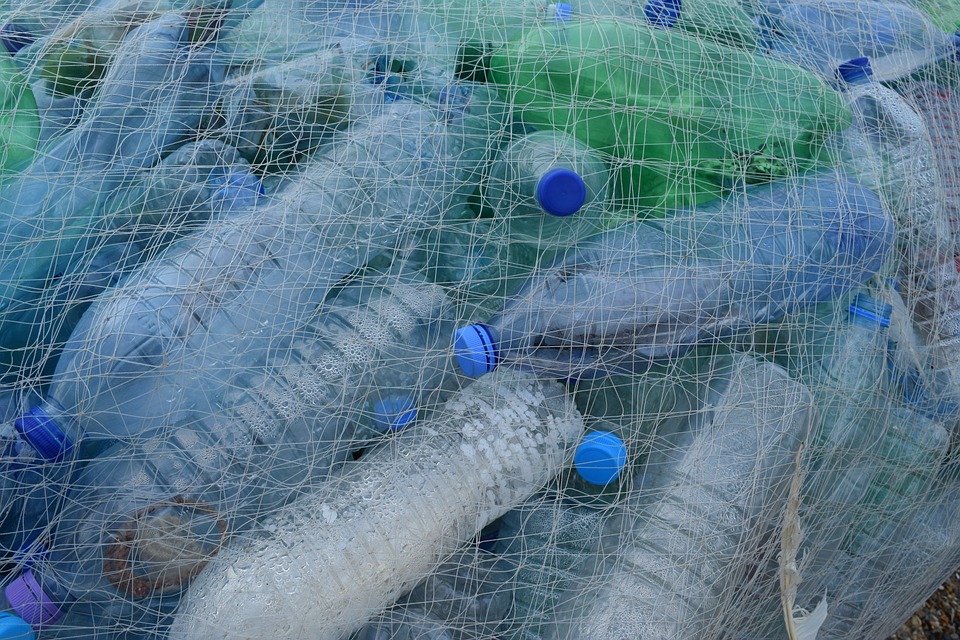 С 1 августа нижегородцам предложили выкидывать пластиковые бутылки в специальные контейнеры  - фото 1