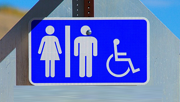 Власти Ростова-на-Дону закупят 10 общественных модульных туалетов за почти 30 млн рублей