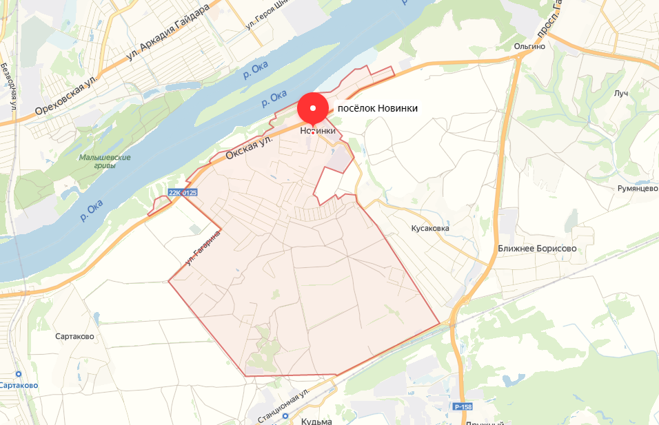 Поселок Новинки Богородского района предлагается включить в территорию Нижнего Новгорода