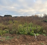 Ход строительства дома 8.3 в ЖК Форест -