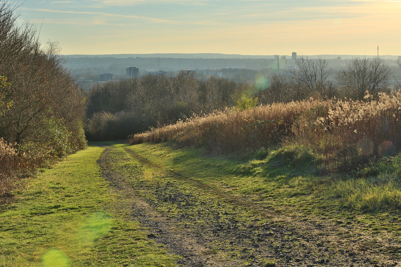 Земли «Хохольского мела» продают в Воронежской области за 263 млн рублей - фото 1