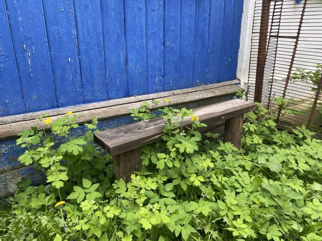 Эксперты рассказали нижегородцам, как избежать штрафов за заброшенную дачу - фото 1