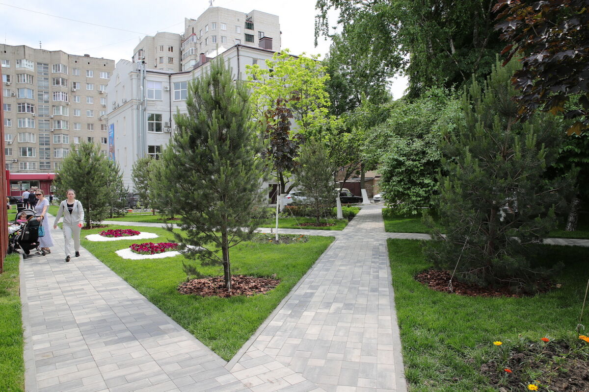 В ростовском парке Собино спилили семь опасных деревьев - фото 1