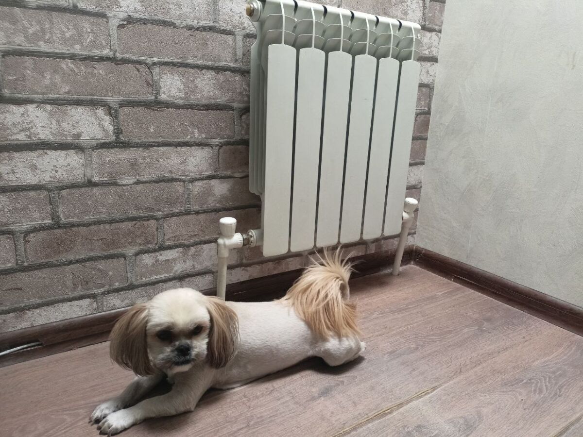 Отопительный сезон в Ростове планируют начать с 15 октября - фото 1