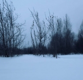 Ход строительства дома 3, секция 3.1 в ЖК Расцветай в Новолуговом -